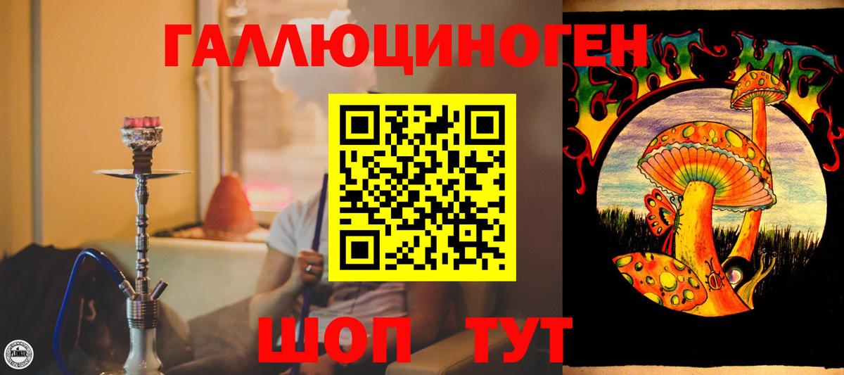 Галлюциногенные грибы мухоморы Новороссийск
